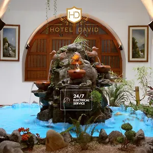 מלון David